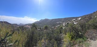 2025-01-GC-Temisas-06.jpg